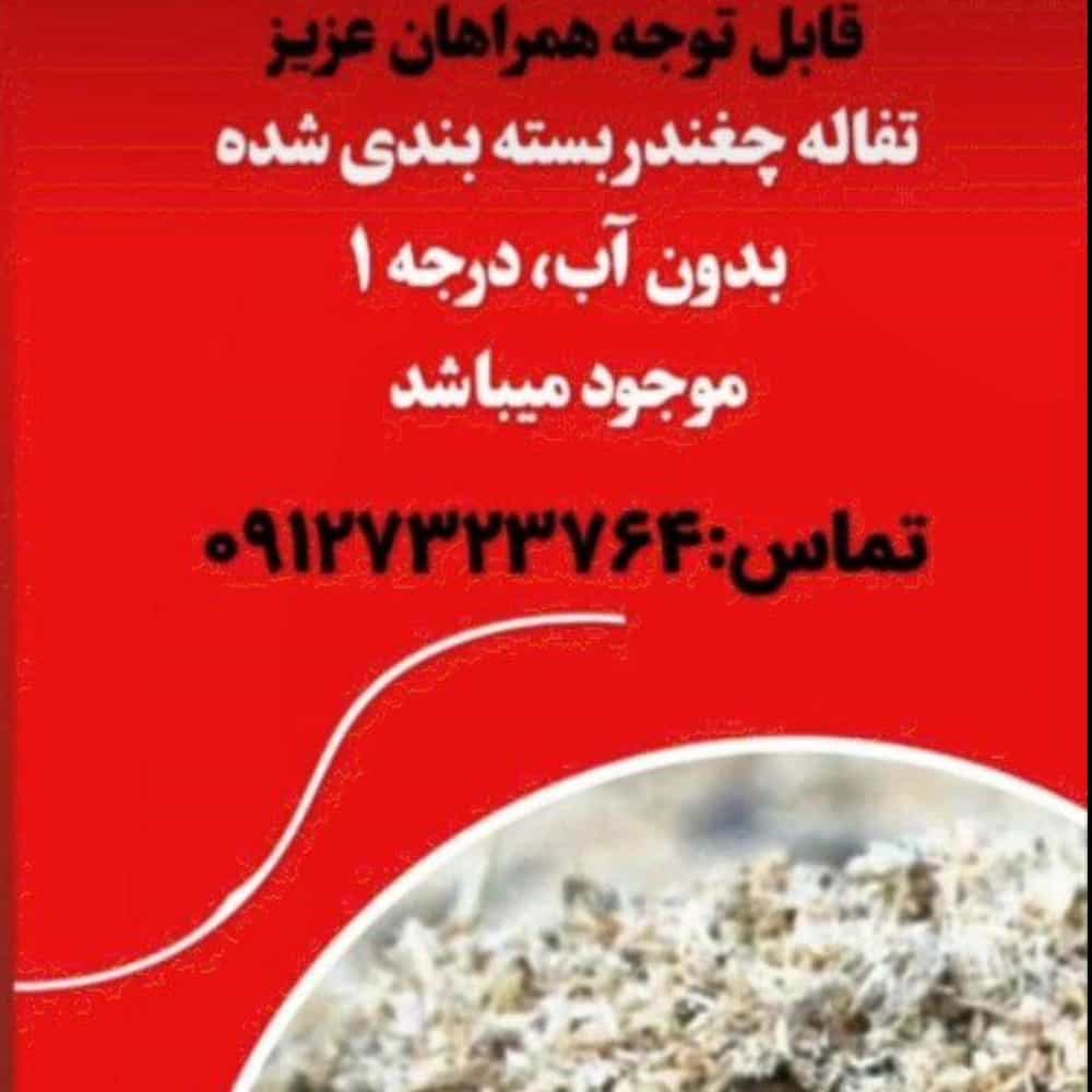 1738223228997.webp